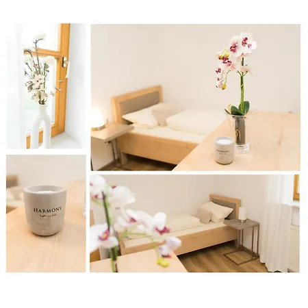 Apartment Koehler